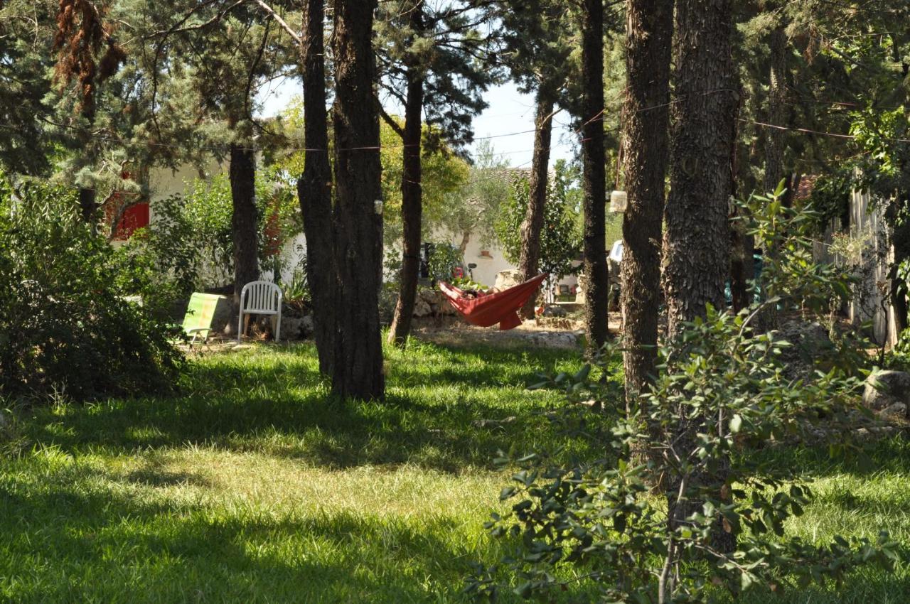 Villa Parco Alta Murgia Cassano delle Murge Exteriér fotografie