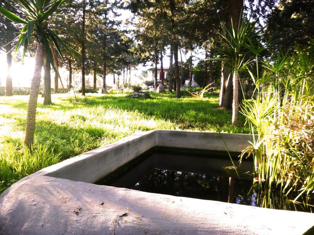 Villa Parco Alta Murgia Cassano delle Murge Exteriér fotografie